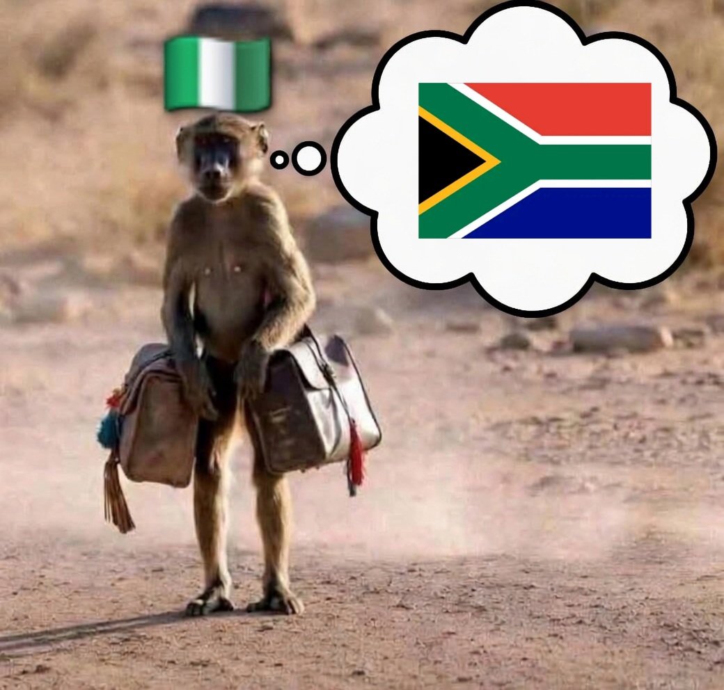 Yaya Libram🇿🇦 tweet media