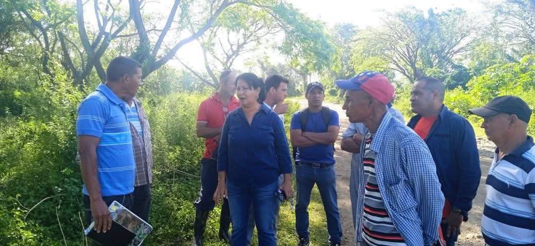 EnoelHernandez2's tweet photo. El trabajo no se detiene! 🚜 Continuamos con nuestro aporte decidido a la producción de alimentos en el #MunicipioBartoloméMasó. Paso a paso, fortalecemos nuestra soberanía alimentaria con el esfuerzo de todos. 🌾🇨🇺 @YudelkisOrtizB @EduardoLopezL65 @BorgesOlivero https://t.co/bWgB73EXGW