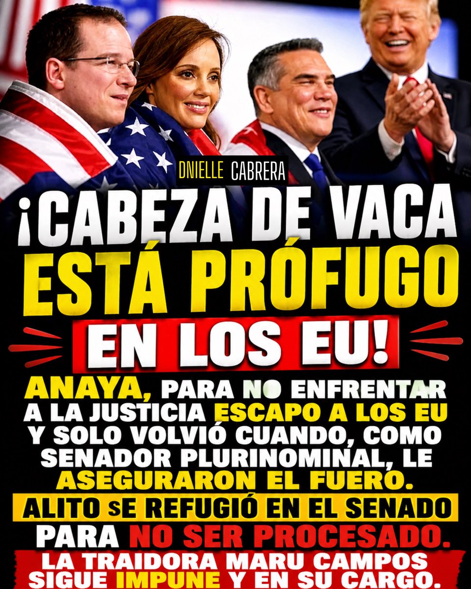 DnielleCabrera tweet media