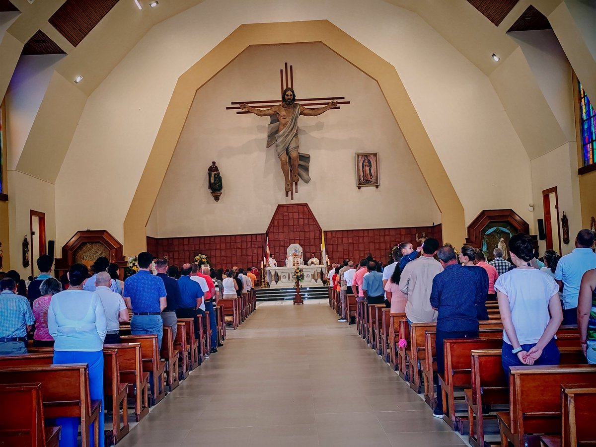 Donald Hidalgo ✝️⛪🇻🇦 tweet media