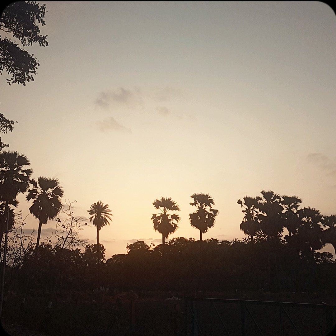 Parthraj_Kacha's tweet image. वो एक शाम हसीन थी , जो पूरे दिन की थकान खत्म कर देती थी ..!!

#sunset #jau #elegant