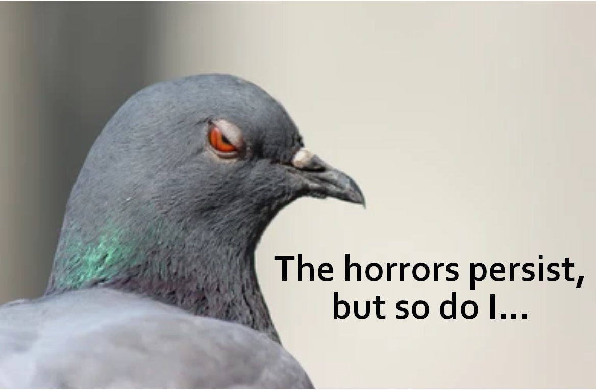 Sparrow tweet media