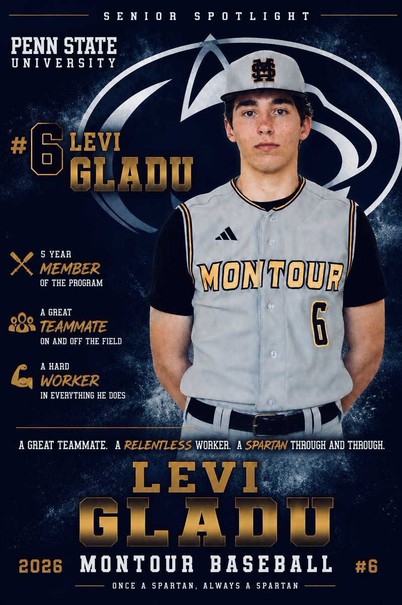 Montour Baseball tweet media