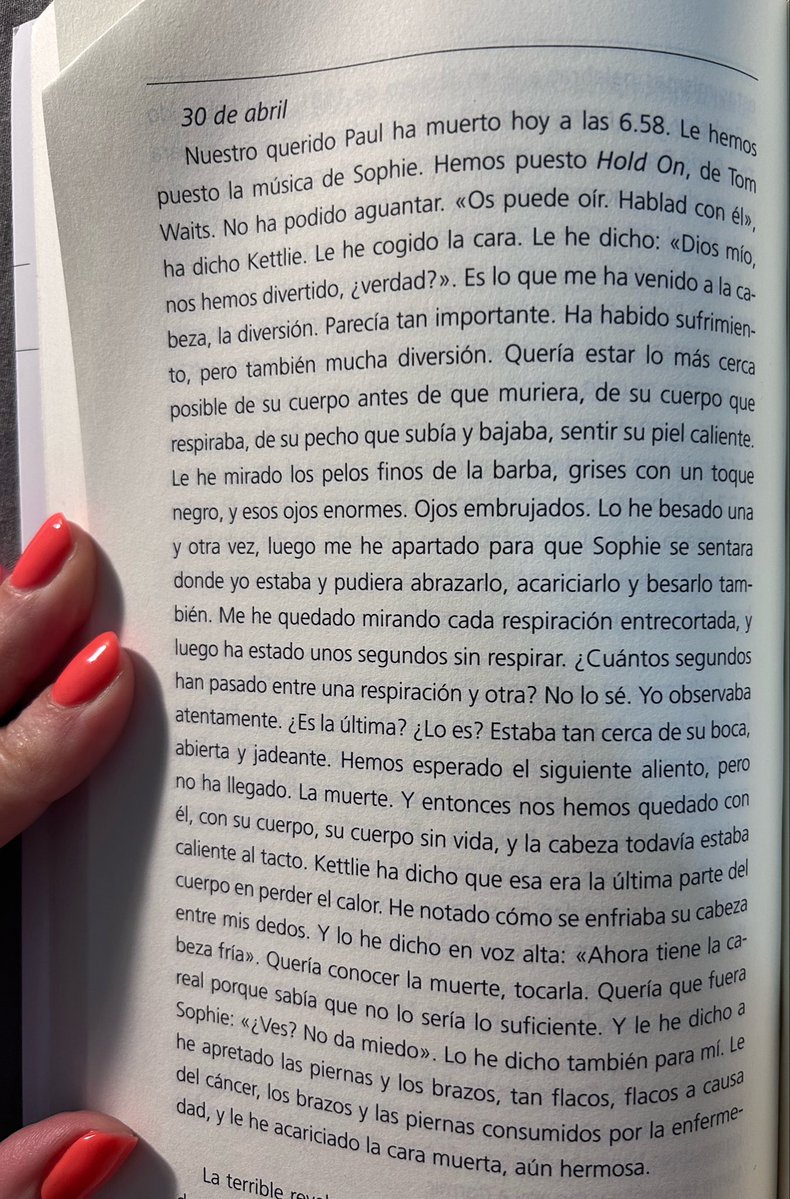 Lara Hermoso tweet media