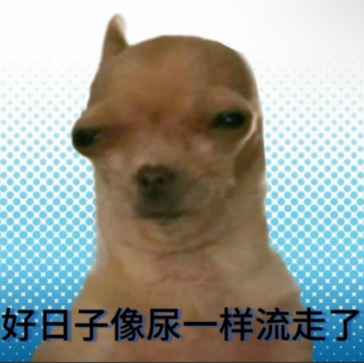nidefMom's tweet photo. 被按着急头白脸法一顿到底啥感觉？颠勺到底啥感觉？强高到底啥感觉？寸止到底啥感觉？口到高潮到底啥感觉？被抱在怀里指奸到底啥感觉？扇巴掌到底啥感觉？掐脖子到底啥感觉？打屁股到底啥感觉? https://t.co/scysl0cDb8