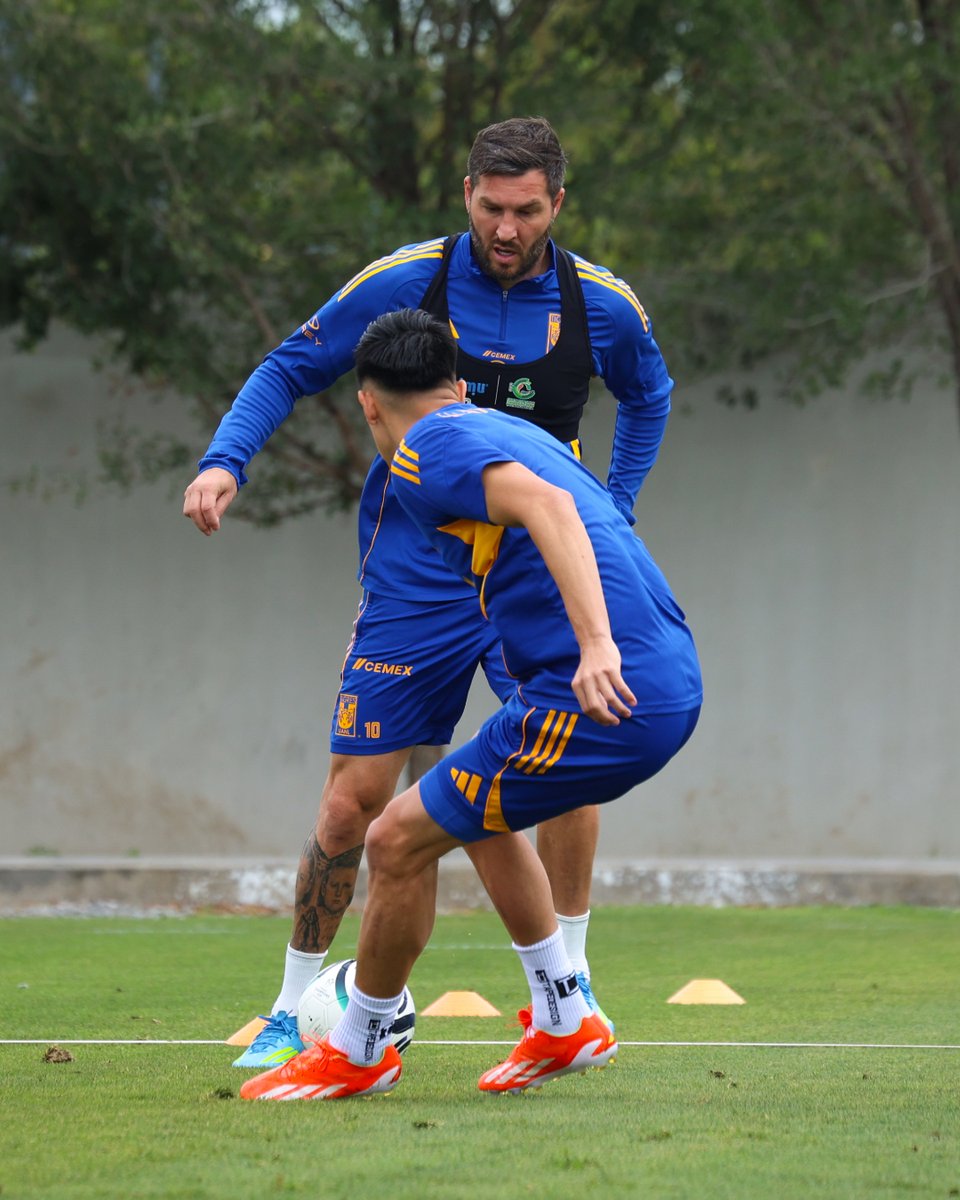 Club Tigres 🐯 tweet media