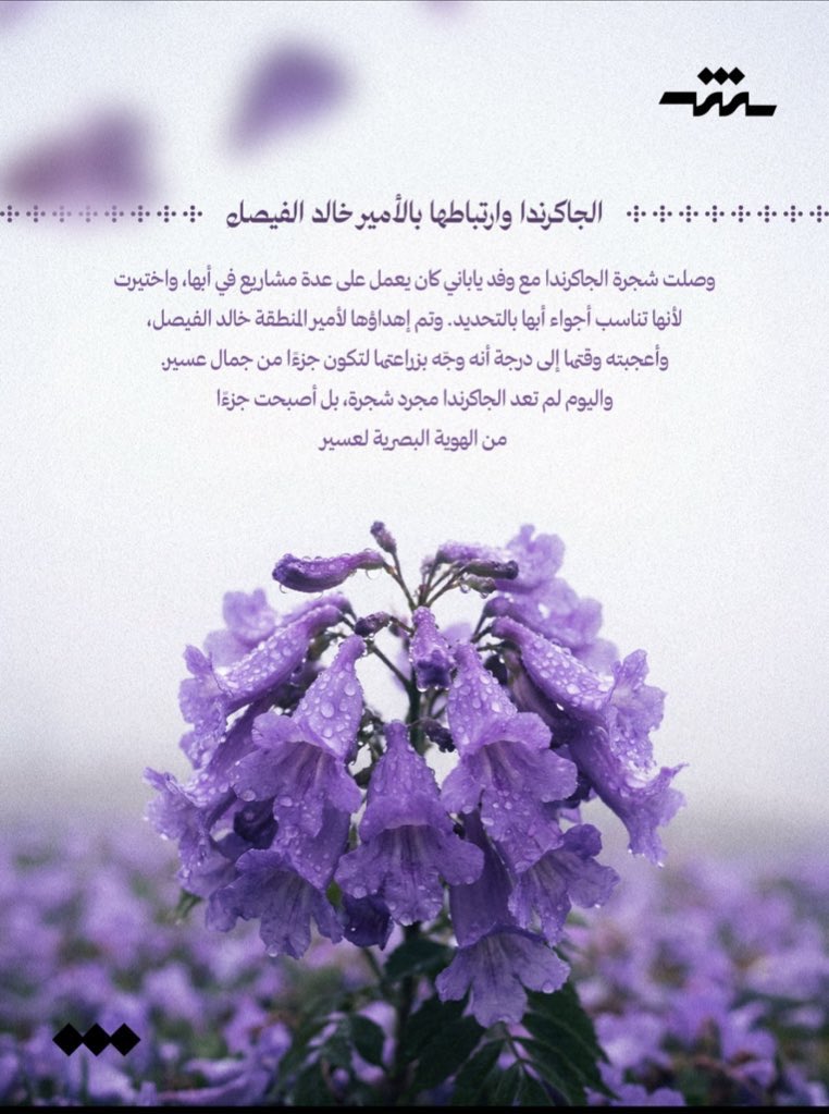 🎨Amarh_ALshehri🖌️ tweet media
