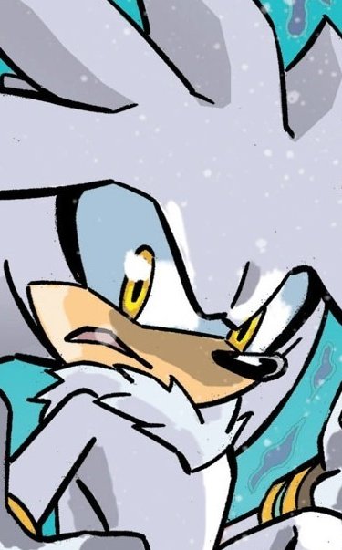 🔞Silver The Hedgehog🔞 tweet media