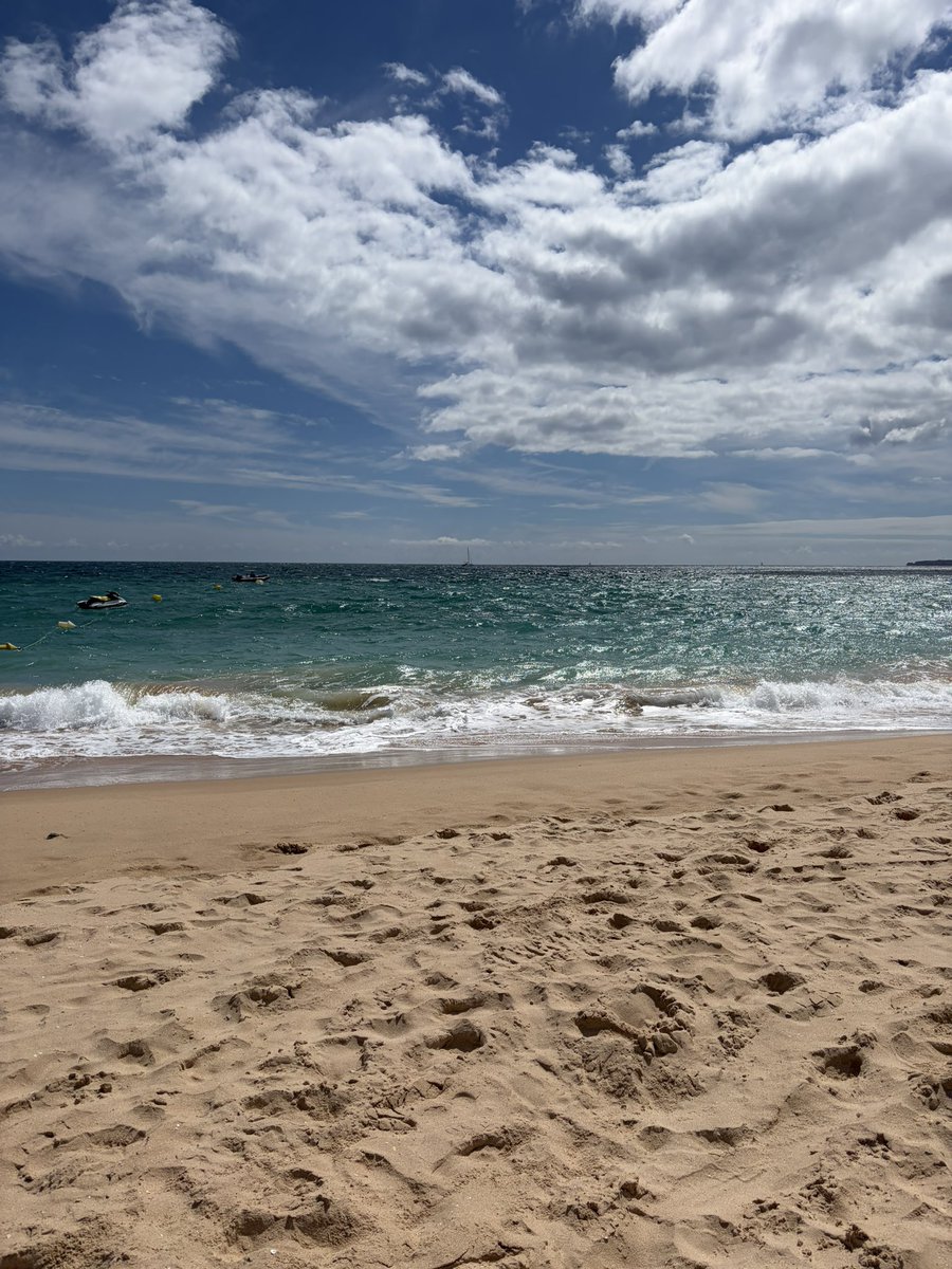 ShelfSiobhan's tweet image. Day 2 of Alvor and it just gets better 🌞🌞 #holidays
