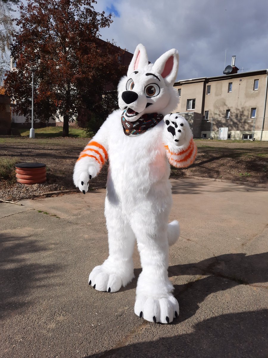 Bolt Railway Dog 🚂 tweet media