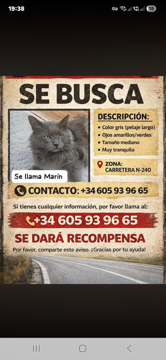 ifoundites's tweet image. 🚨 **Marín** — Perdido/a 🇪🇸
ifoundit.es/cat/a419e37b-d…

#כלב #חתול #אבוד #פרס_כספי #gato #perro #perdido #recompensa #dog #cat #lost #reward