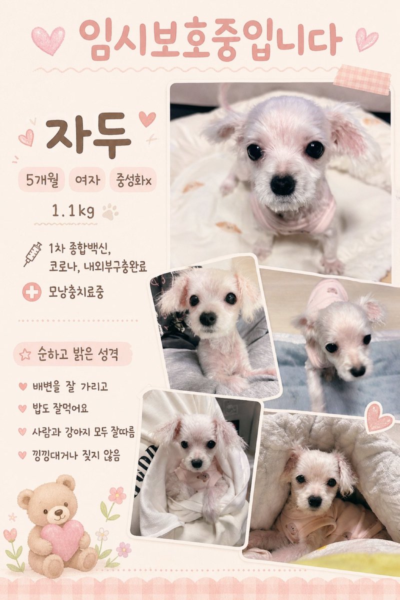 폭닥봉이☁️ tweet media