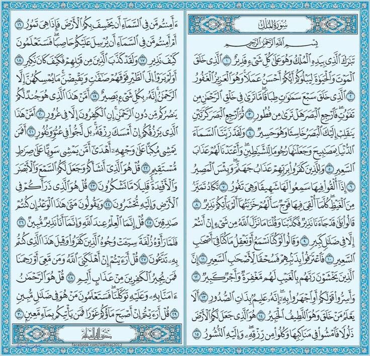 Samar Elkzaz 🇪🇬 🦂 tweet media