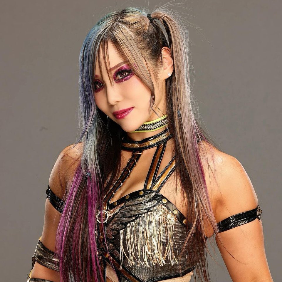 Women’s Wrestling Brasil tweet media