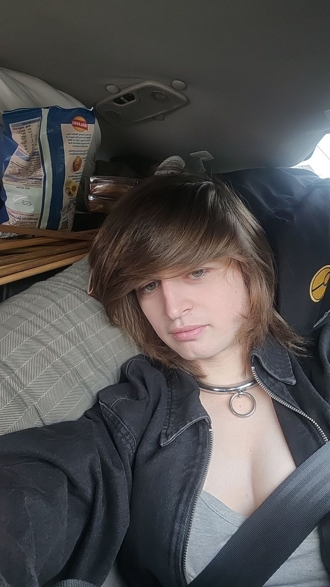 PupClueless's tweet image. Puppy on a camping road trip! Wanna snuggle up together? 🐾🥎
#pupplay #puppy