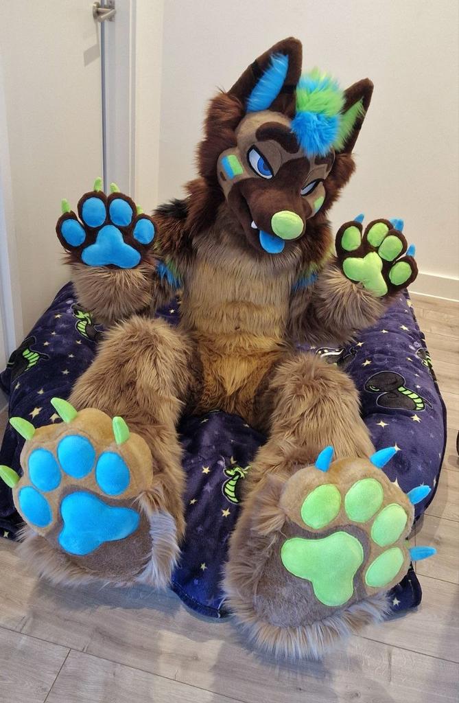 Shep_Dex's tweet photo. Paws up 🐾💙💚 https://t.co/Ui25hOx4tT