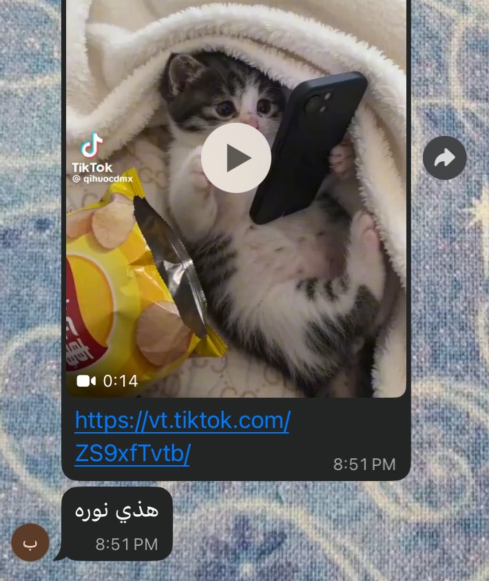 ضحككتتتت ابوي مرسلها بالقروب 
وربي مره انا هسخسسخشهشهخخهههسه