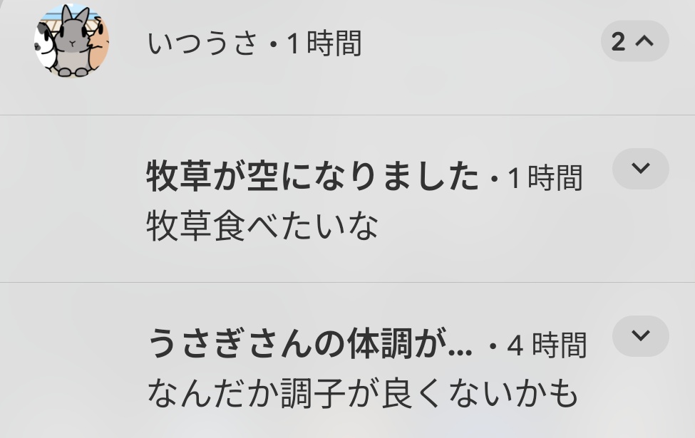 🌟モフモフ🌟 tweet media
