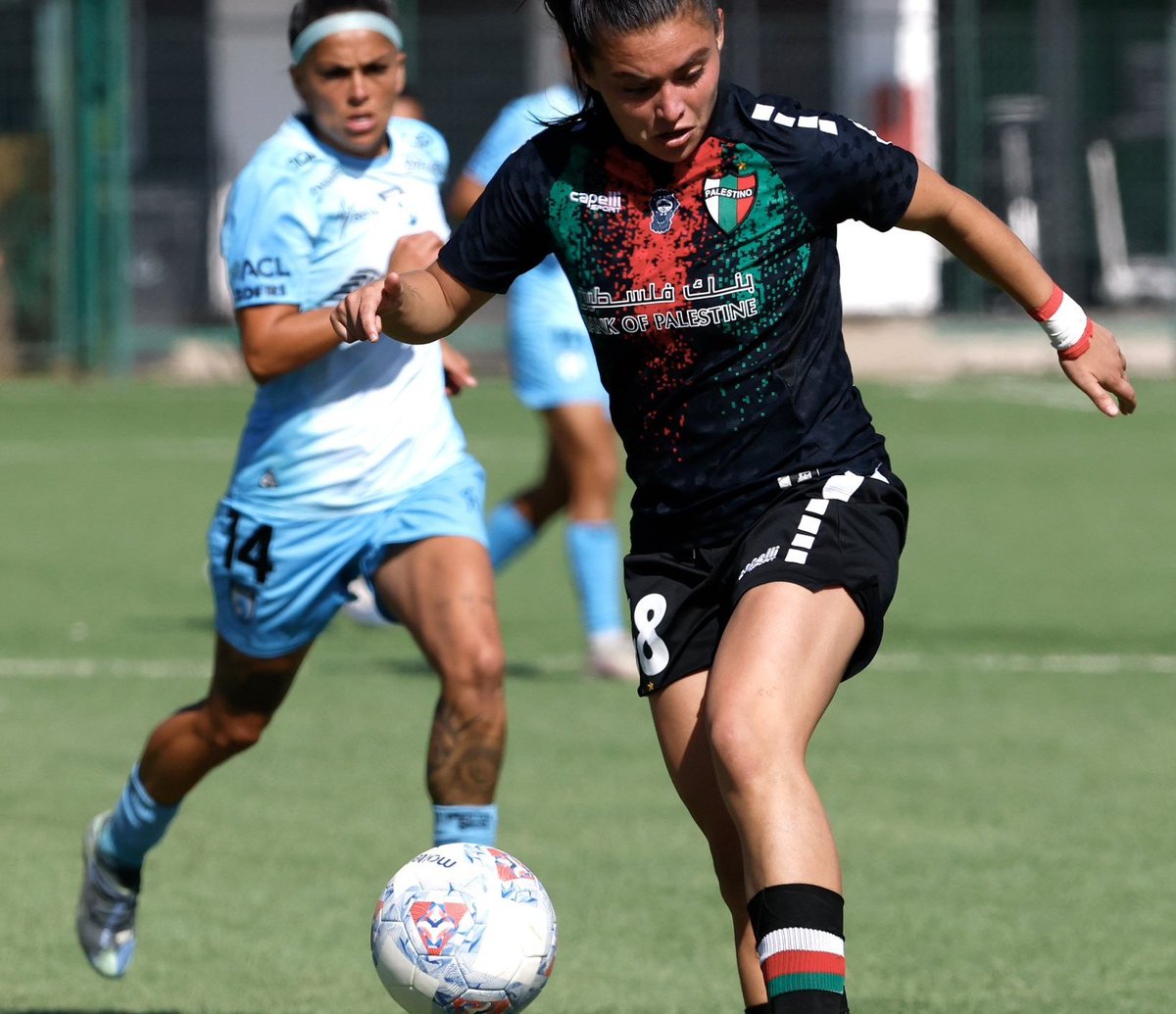 Deportes Iquique, desbloqueame 🩵🐉 tweet media