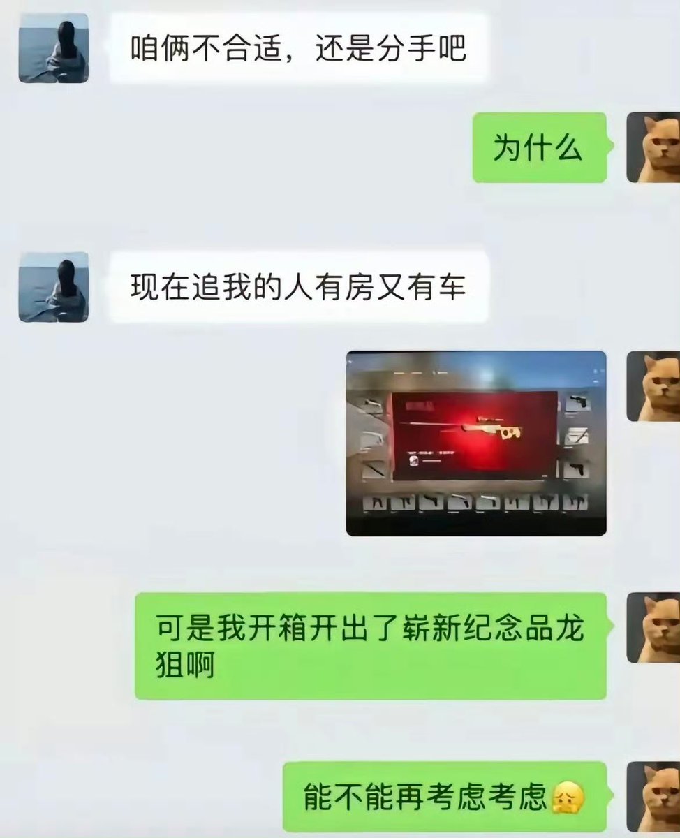 夜之城鼠鼠 tweet media