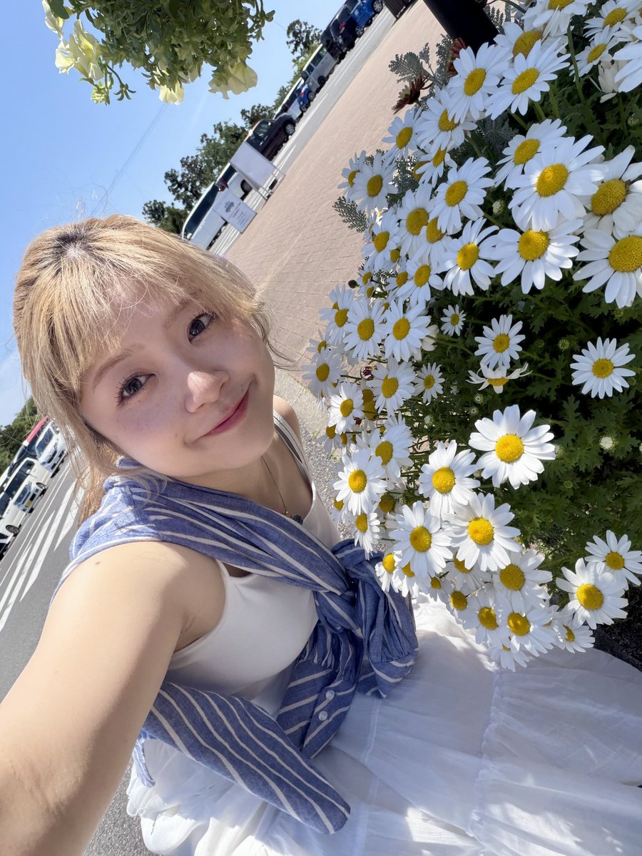 singalot_AM's tweet image. おはようございます🌞