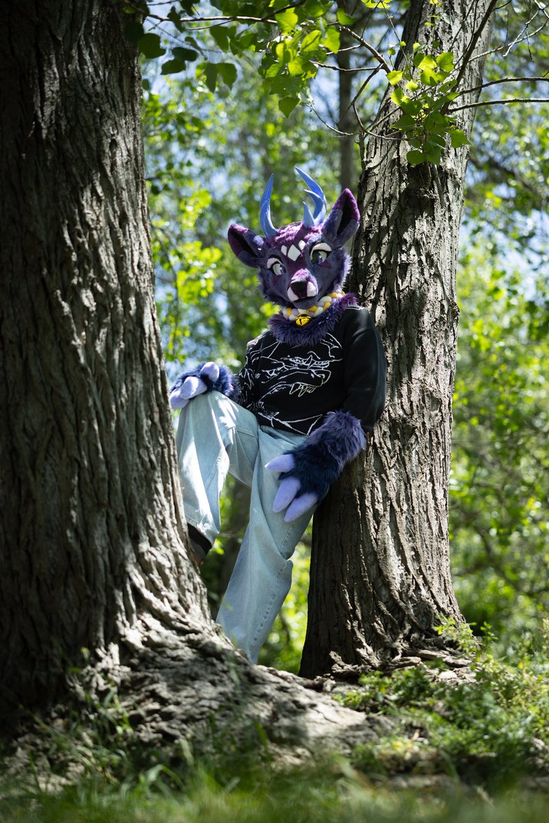 Valeos_antler's tweet photo. In my natural habitat https://t.co/f6Xe3LKBuz
