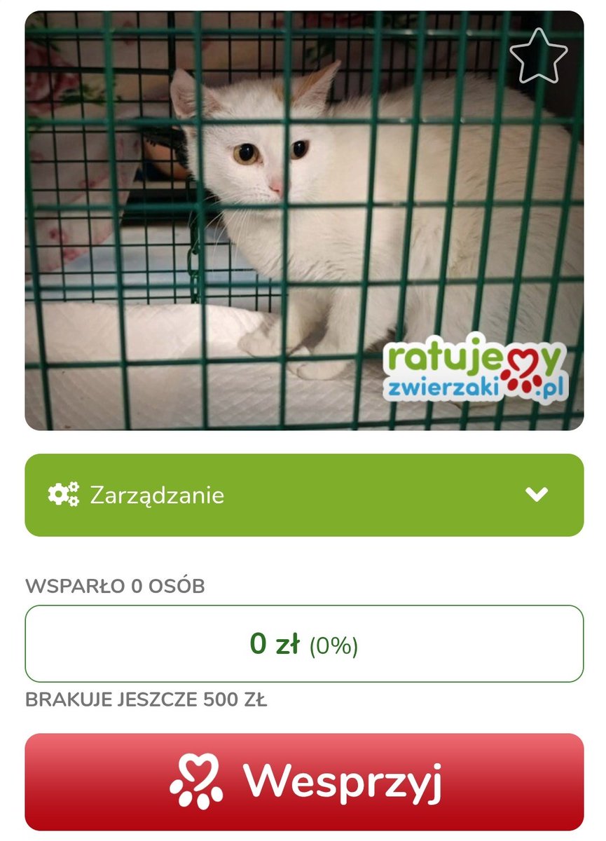 KociVibe tweet media
