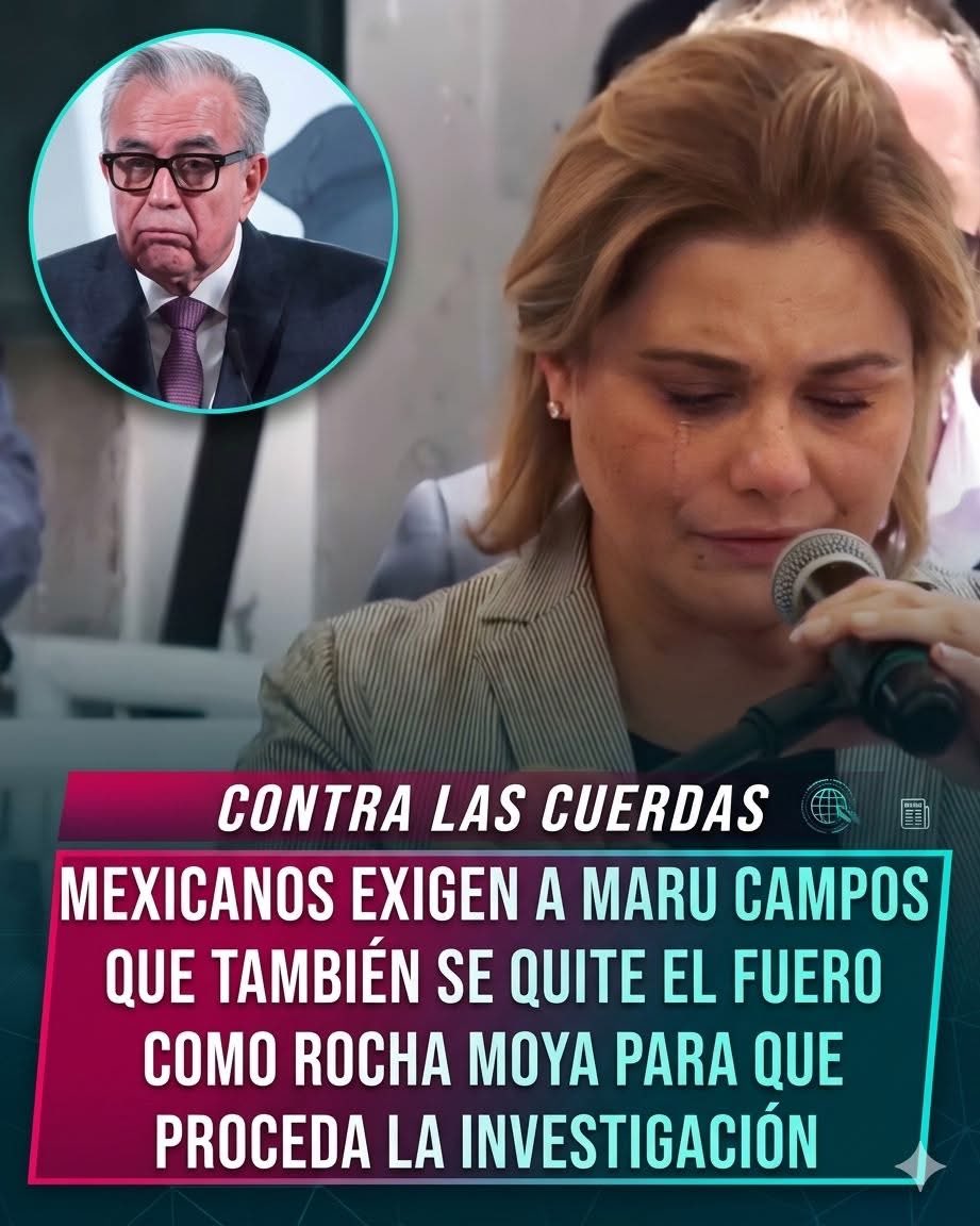 THE NEW CHANO TIMES 🔺🇲🇽 tweet media
