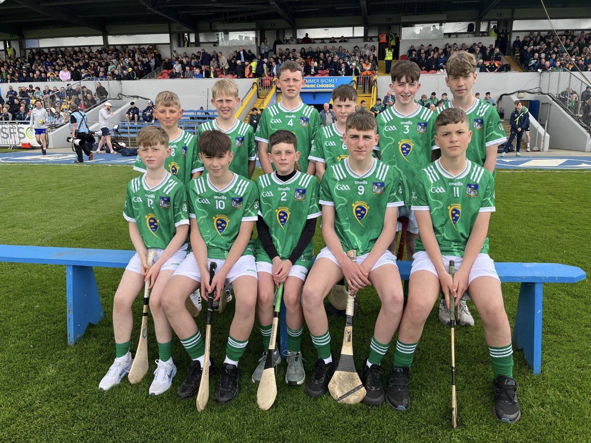 Limerick GAA tweet media