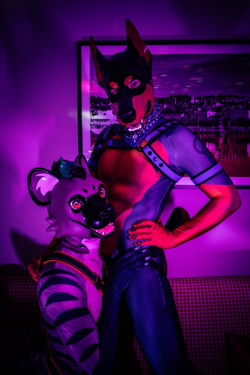 🏳️‍🌈🔞Dobie-Ace🔜CFZ🔜Anthro-Irish🔜EF tweet media