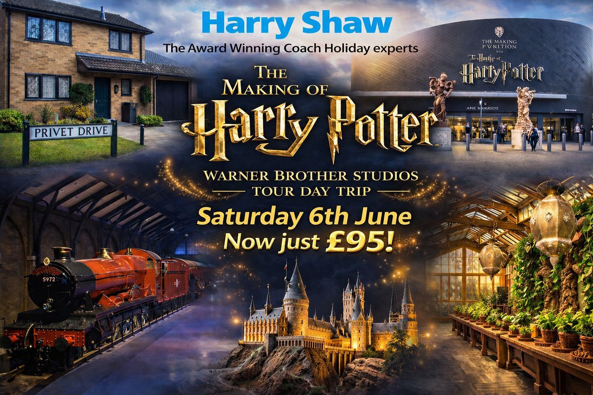 Harry Shaw tweet media