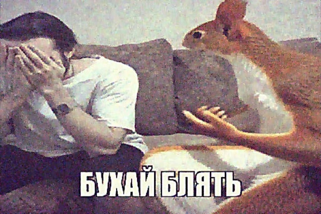 о: лина 🐈‍⬛ tweet media