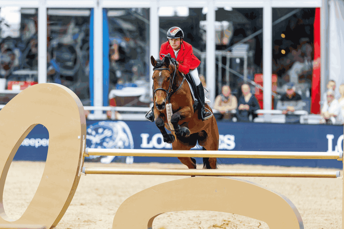 Horseweb.de tweet media