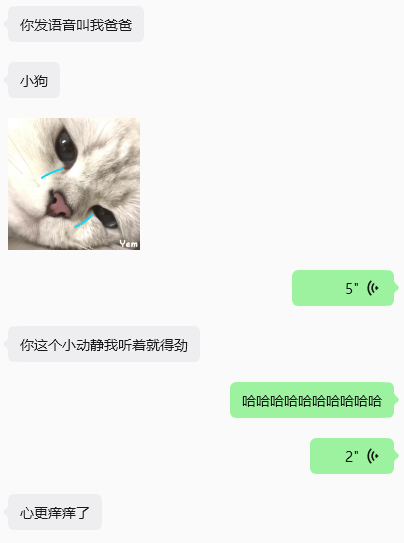 偷心猫Heartcat tweet media