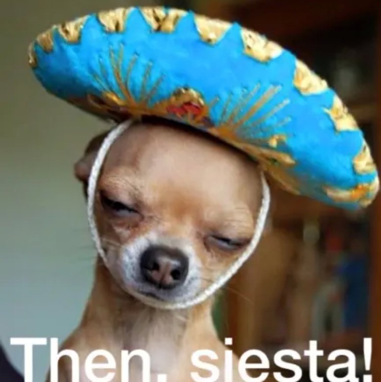 dawnclark6's tweet image. Cinco de Mayo 
 is on #TacoTuesday 
this year 🌮 🐕 Love It ❣️