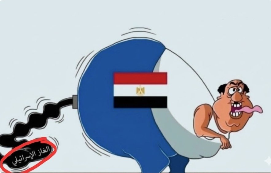 قائد مقاتل 🇪🇬 (خط القمبري 🍤 🦐 ) tweet media