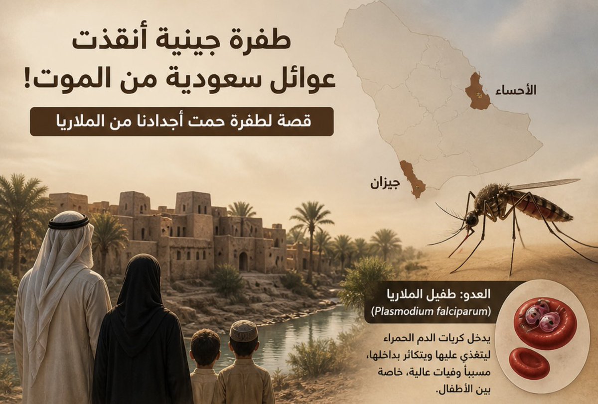 NextGeneHub's tweet image. طفرة جينية أنقذت عوائل سعودية من الموت 🤯!

#Saudi_Arabia #Vision2030 #Biotechnology