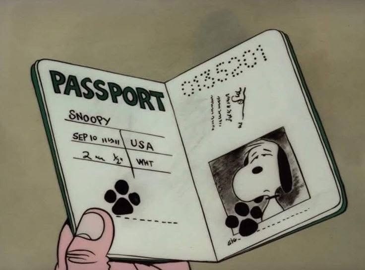 Snoopy tweet media
