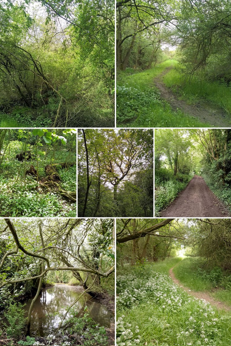 phil0073's tweet image. #WeekendWander. #PhilOnaBike (archive) #treepeople #FootpathFriday