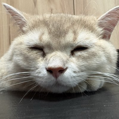 xandertapsheads's tweet photo. #NewProfilePic https://t.co/kC1GwHF4Yn