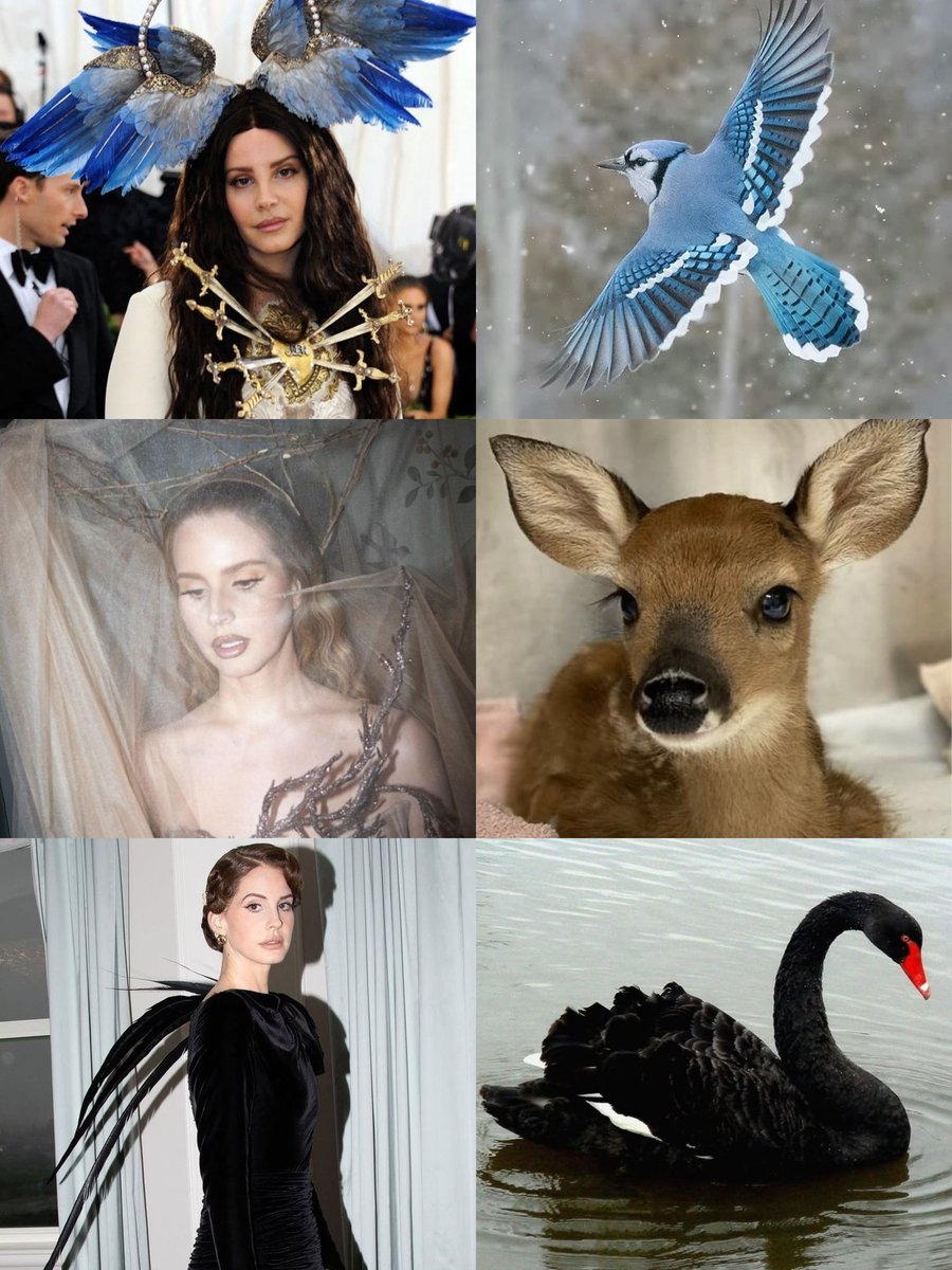 Margaret🦌 tweet media