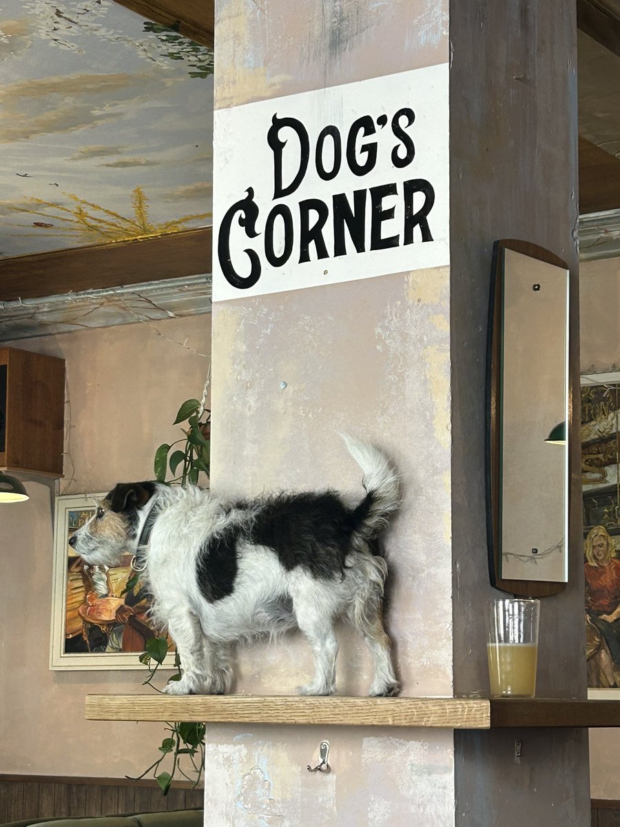PubsSaving's tweet photo. Great to see The Robin in Crouch Hill busy yesterday afternoon! Tried some of the excellent cask ales on offer. Food was excellent, fresh ingredients, chunky chips with aioli dip. ❤️🍺 #bestpubs #favouritepubs #dogfriendly #crouchhill #caskale https://t.co/StWdkACCGx