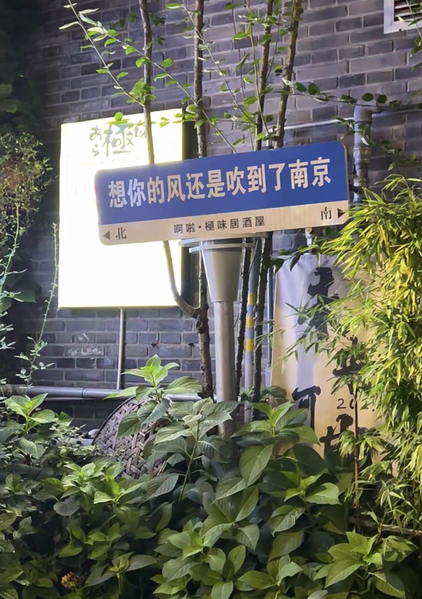 酸奶不吃鱼🐟 tweet media