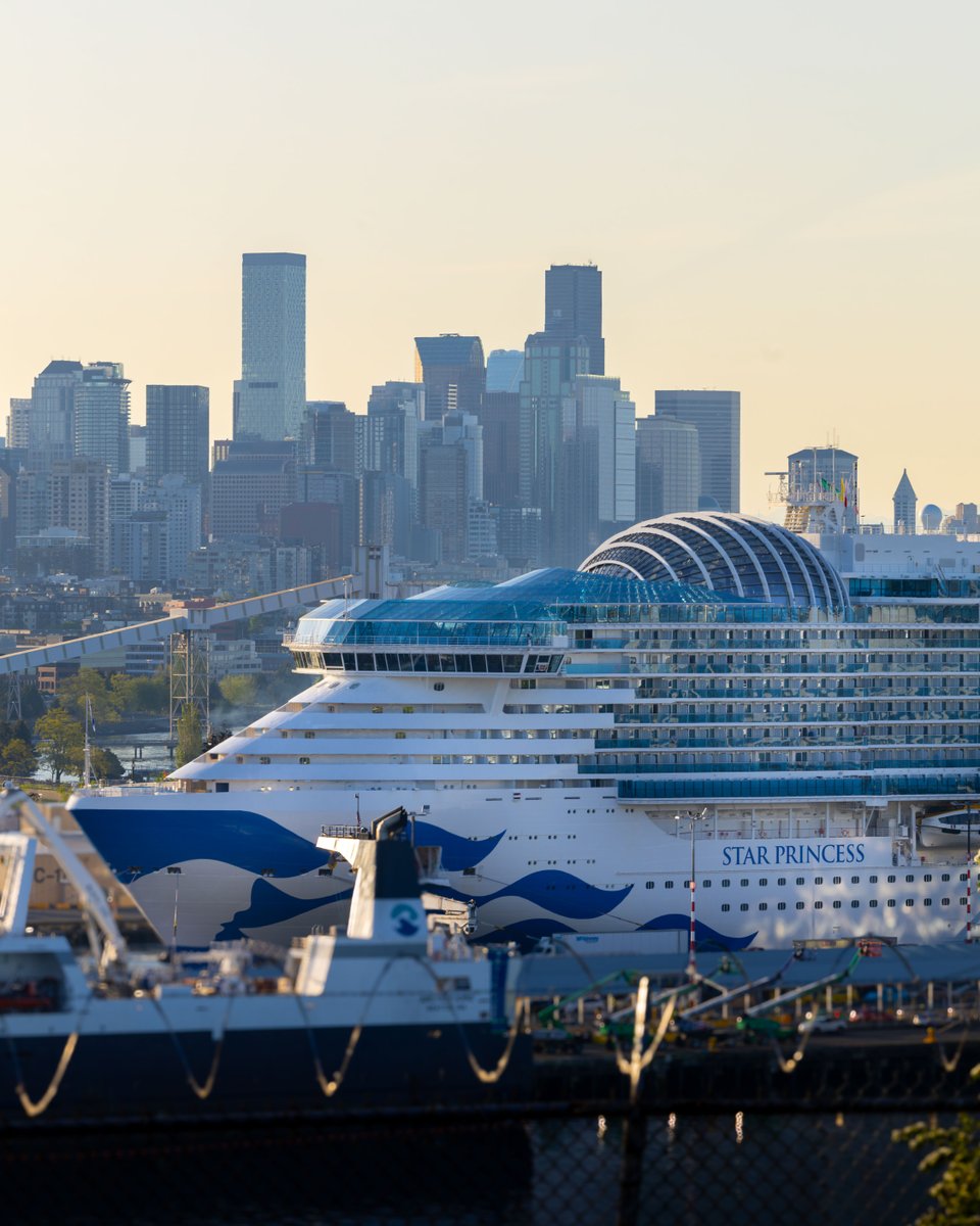 Princess Cruises tweet media