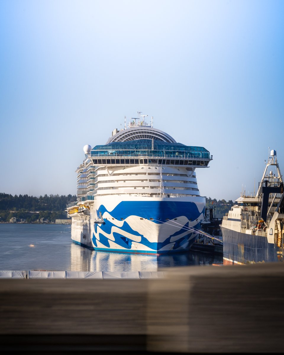 Princess Cruises tweet media