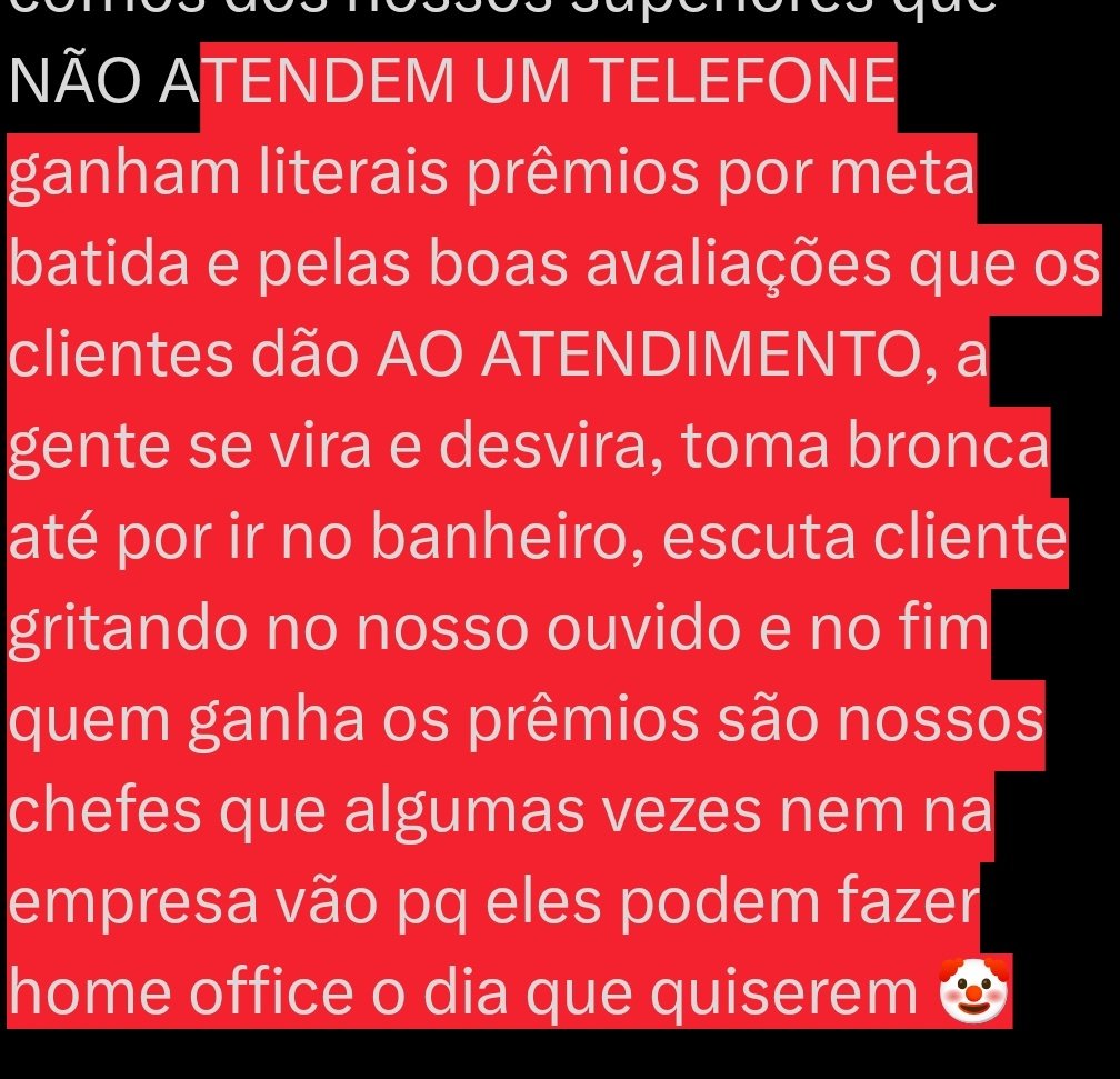 Cat 🐱 tweet media