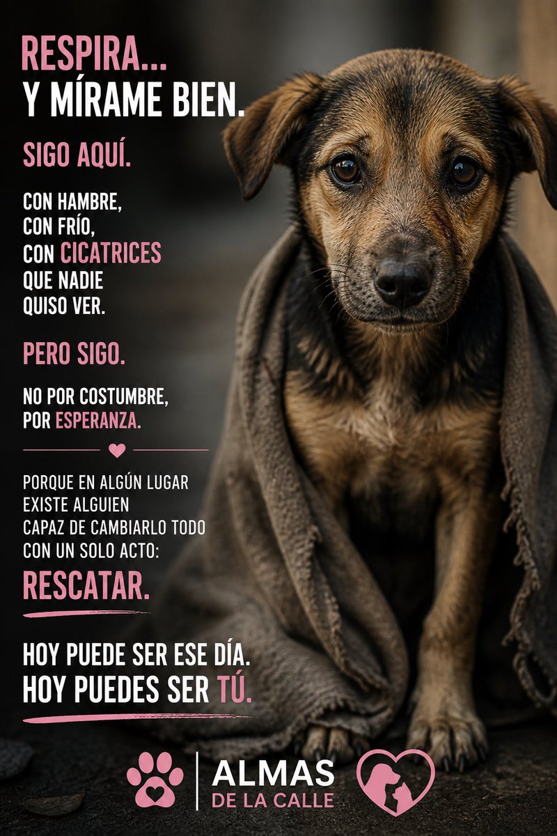 Almas De La Calle tweet media