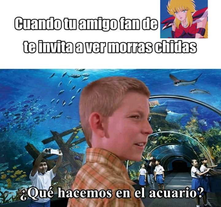 Cuenta que te avisa cuando se anima Next Dimension tweet media