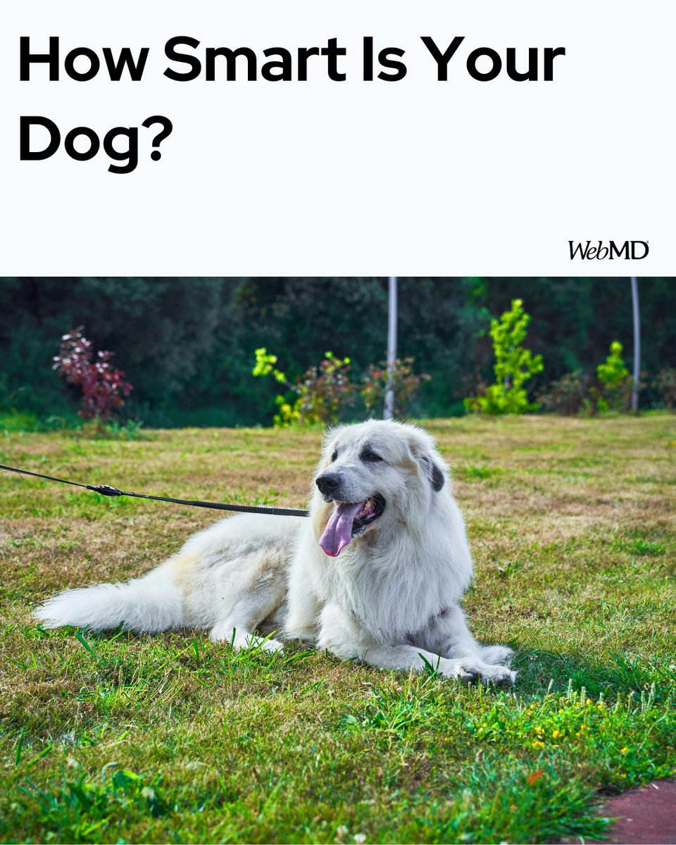 WebMD tweet media