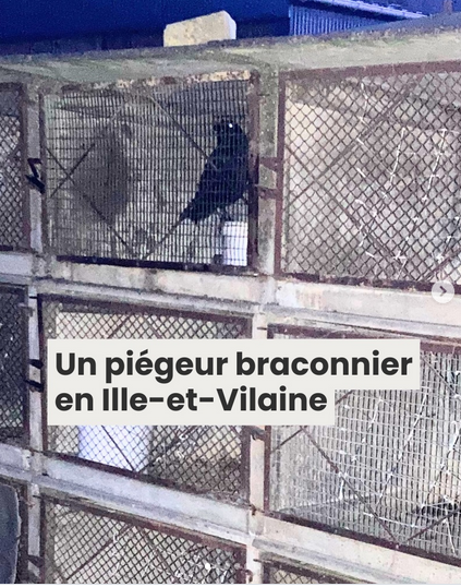 AntiChasse ⒶⓁⒻ tweet media
